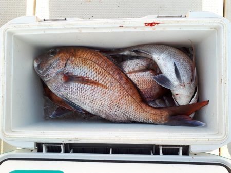 釣り船くわだ 釣果