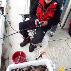 釣り船くわだ 釣果