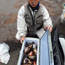 釣り船くわだ 釣果