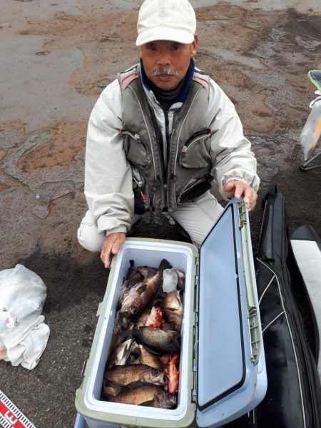 釣り船くわだ 釣果
