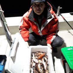 釣り船くわだ 釣果