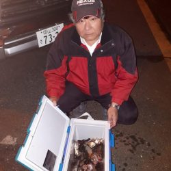 釣り船くわだ 釣果