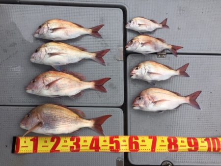 遊漁船高橋 釣果