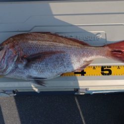 へいみつ丸 釣果