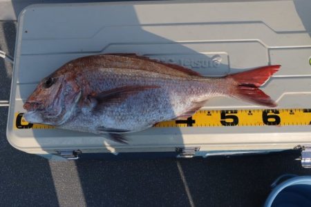 へいみつ丸 釣果