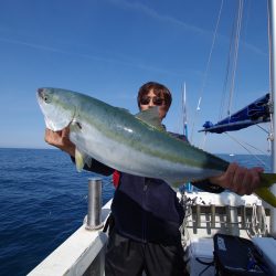 オーシャンズ　京都 釣果