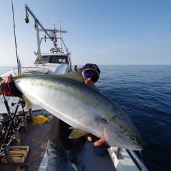 オーシャンズ　京都 釣果