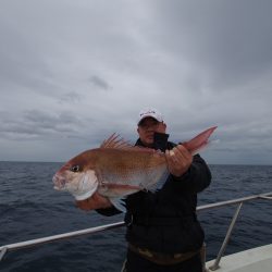 オーシャンズ　京都 釣果