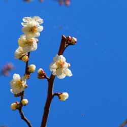 小菅トラウトガーデン 釣果