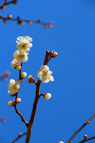 小菅トラウトガーデン 釣果