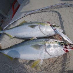 オーシャンズ　京都 釣果