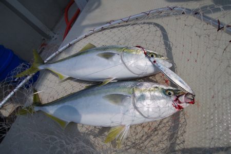 オーシャンズ　京都 釣果