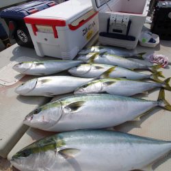 オーシャンズ　京都 釣果