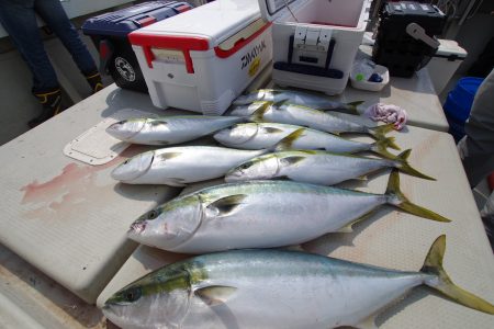 オーシャンズ　京都 釣果