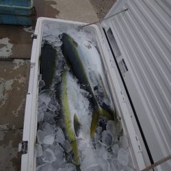 オーシャンズ　京都 釣果