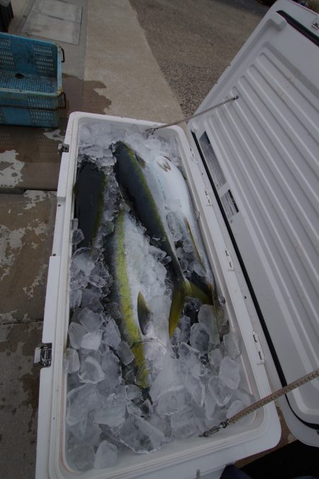 オーシャンズ　京都 釣果