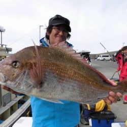 大進丸(新潟) 釣果