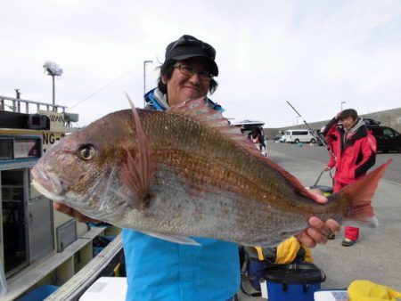 大進丸（新潟） 釣果