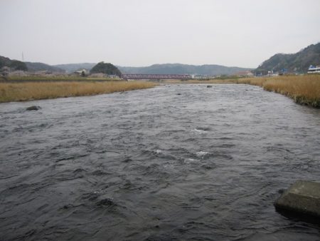 狩野川（狩野川漁業協同組合） 釣果