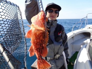 鯛紅丸 釣果
