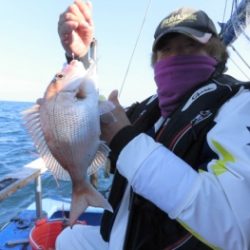 鯛紅丸 釣果