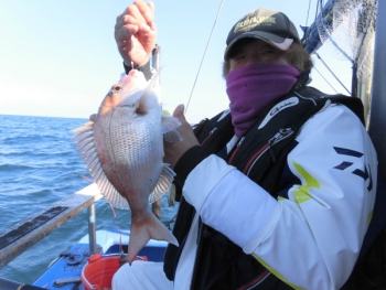 鯛紅丸 釣果