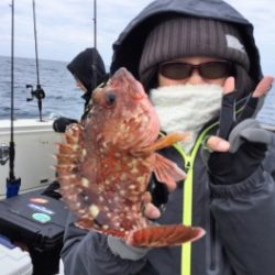 鯛紅丸 釣果