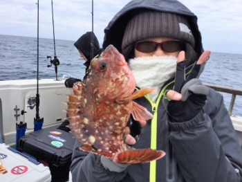 鯛紅丸 釣果