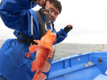 鯛紅丸 釣果
