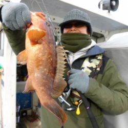 鯛紅丸 釣果
