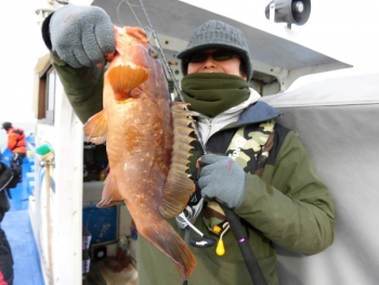 鯛紅丸 釣果