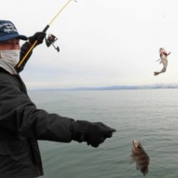 鯛紅丸 釣果