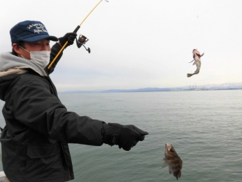 鯛紅丸 釣果