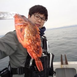 鯛紅丸 釣果