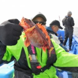 鯛紅丸 釣果
