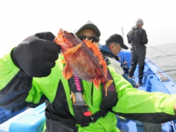 鯛紅丸 釣果