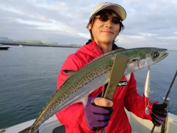 鯛紅丸 釣果