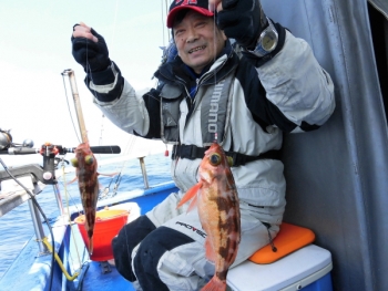 鯛紅丸 釣果