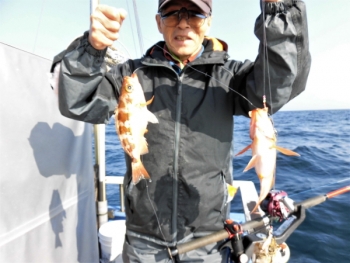 鯛紅丸 釣果