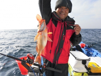 鯛紅丸 釣果