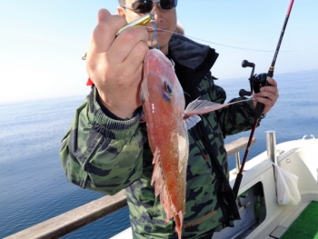 鯛紅丸 釣果