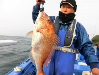 鯛紅丸 釣果