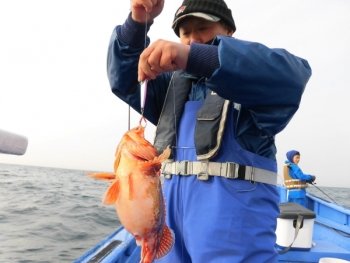 鯛紅丸 釣果