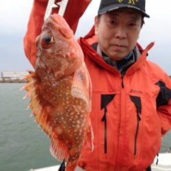 鯛紅丸 釣果