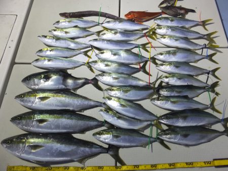 Hit Rush(ヒット ラッシュ） 釣果…