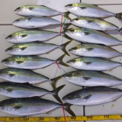 Hit Rush(ヒット ラッシュ) 釣果