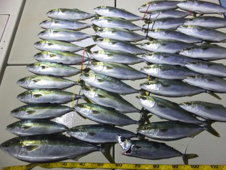 Hit Rush(ヒット ラッシュ） 釣果…