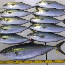 Hit Rush(ヒット ラッシュ） 釣果