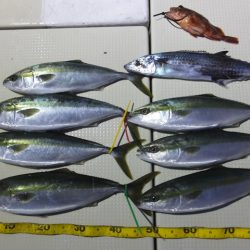 Hit Rush(ヒット ラッシュ) 釣果