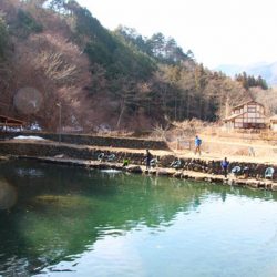 小菅トラウトガーデン 釣果